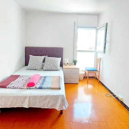 Alexmar Barcelona City מראה חיצוני תמונה